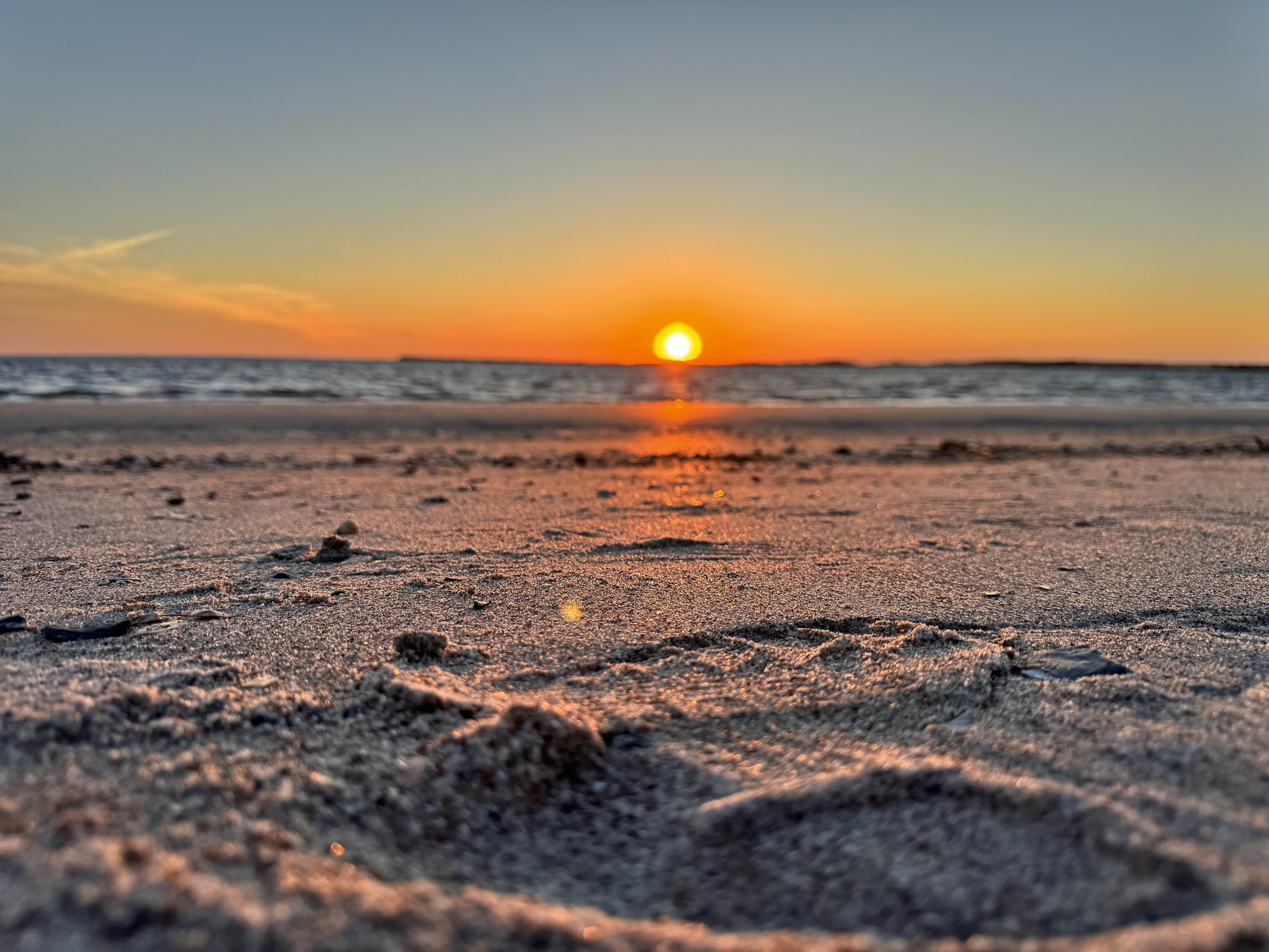 Backups & Disaster Recovery