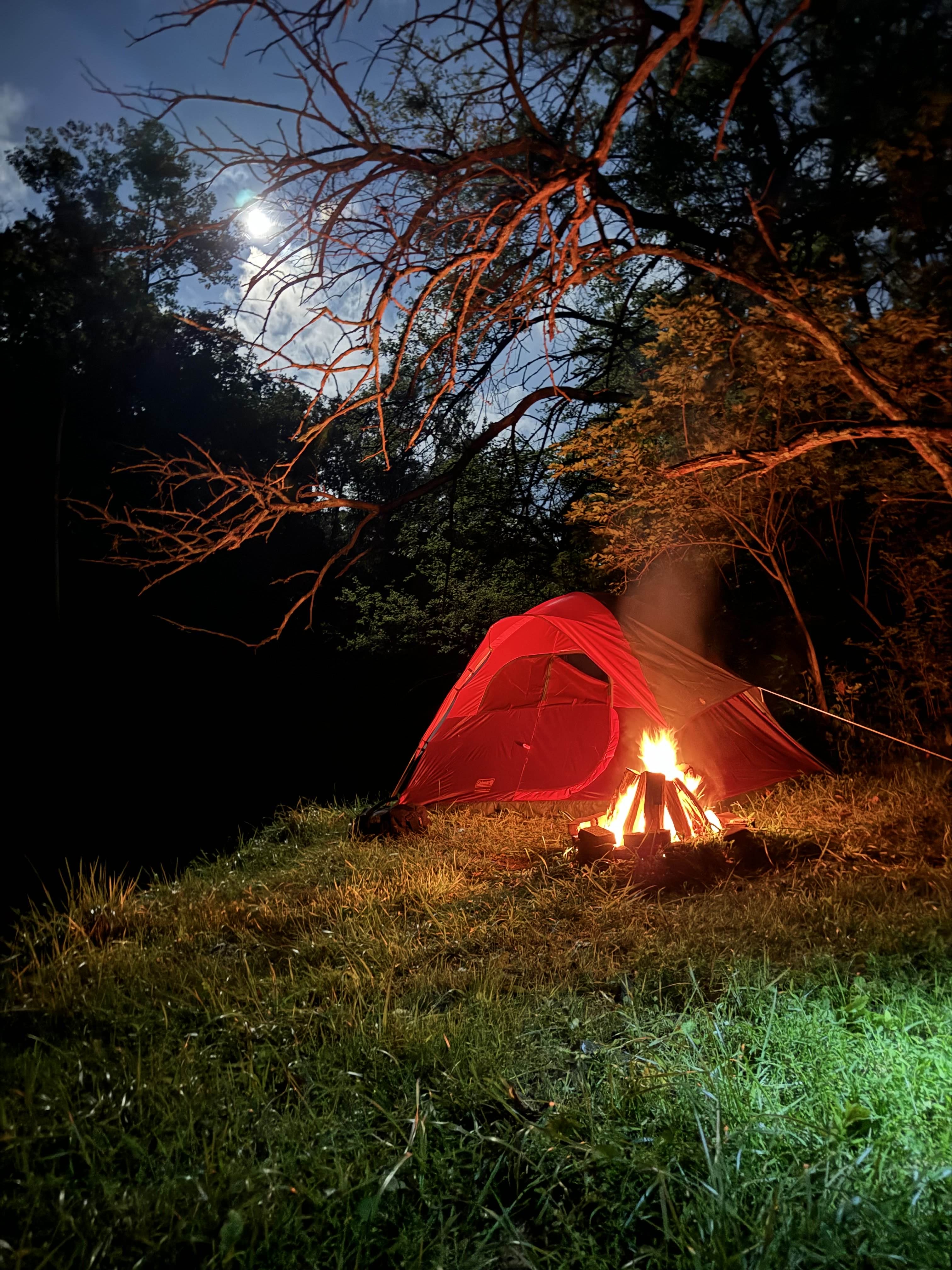 Website Development & Hosting